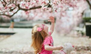 Navigating Team Changes: Strengthening Client Relationships in Spring. Photo by Karl Fredrickson on Unsplash